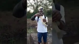 BASS FISHING In the river with MCCARTHY BAITS part 1