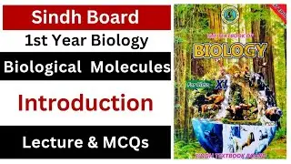 Biological molecules || introduction to biochemistry || class 11 biology Sindh board || new book