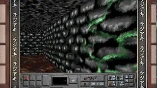 The fortress of Dr. Radiaki and or is it that bad?