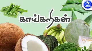 காய்கறிகளின் பெயர்கள் | Identify Vegetable Names for Kids