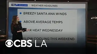 Amber Lee&rsquo;s NEXT Weather forecast