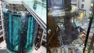 Acuario estalla en un hotel de Berlín y deja 1500 peces esparcidos por el piso