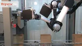 Машина для упаковки в коробки, готовая к розничной торговле, для пакетов и сумок; вертикальная или горизонтальная конфигурация на одной машине