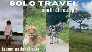 EXPLORING KRUGER NATIONAL PARK || South Africa || TRAVEL WITH ME 20+ HOURS