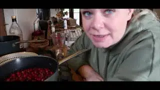 hawthorn berry ketchup