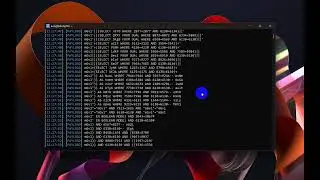 Crawl a website with SQLmap and auto-exploit