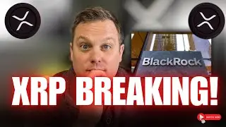 🚨 BREAKING XRP NEWS RIPPLE BLACKROCK!!!!
