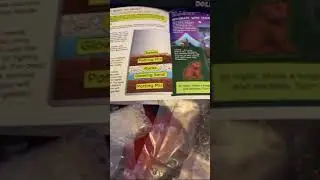 Glow n Grow DIY Terrarium Kit | Prismatic Rose