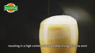Impact of Boiling Intensity on Wort Quality | TIANTAI Craft Brewery Equipment