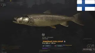 Fisher Online Финляндия: о.Кулгу - Голец серый. Трофейное место. Finland