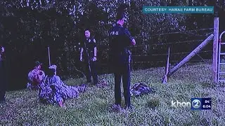 Hawaii agriculture leaders discuss new crack down on crime