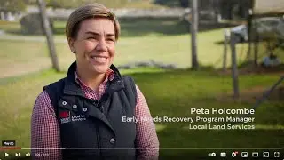 Early Needs Recovery Program