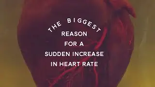 The Biggest Reason For A Sudden Increase In Heart Rate