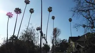 Walking around neighborhoods of Los Angeles and Pasadena/Promenade dans Los Angeles et Pasadena HD