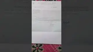 2017 primary R.T.I copy