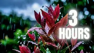 3 Hours Heavy Rain for Studying & Tinnitus Relief - Natural White Noise