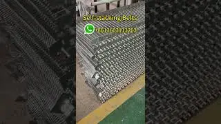 Custom Self-stacking Spiral Conveyor Belts for Food Industry | Free Samples & Competitive Price