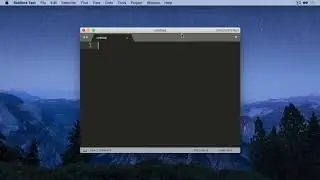 How to get a Sublime Text license