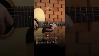 TEMPO PERDIDO - LEGI&Atilde;O URBANA