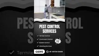 Pest Control Service Chennai #PestControl #BugFreeLiving #TermiteControl #CockroachControl