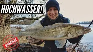 Unterwegs/Vlog: Zanderangeln bei Hochwasser