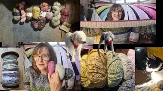 The Knitting News week 3 2026