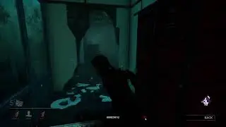 Lethal Hide and Seek - KRWBY Plays Dead By Daylight!