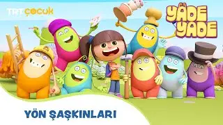 Yade Yade | Yön Şaşkınları