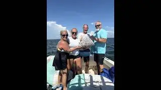 Scallop Crystal River (CATCH - CLEAN - COOK)