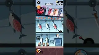 Yolo level 8