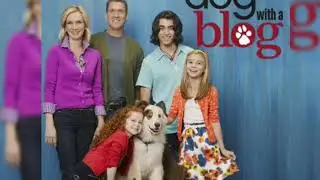 Dog with a blog Before and after  2020