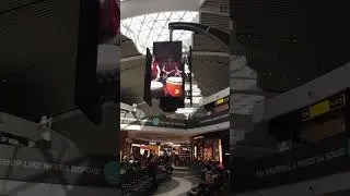 Amsterdam Airport #airport #views #trending #viral #travel #canada #usa #vocations #tour #shorts #us