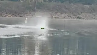 rc drag cat gizmo