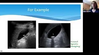 Soft Tissue Mass Characterization