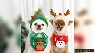 Christmas Pet Hat Cute Cartoon Antlers Saliva Towel for Dog Cat Dress Up Supplies Scarf Autumn and W