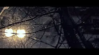 The High Dials - The Barroom Fisher King (Official Music Video)