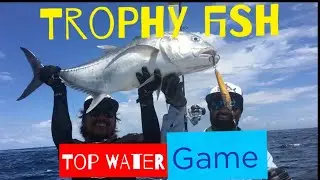 GT Fishing in Bali || Big GT fish , Trophy of Top water Game | Fishing charter Bali