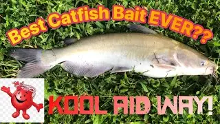 Best catfish bait ever!!!  Kool-aid way