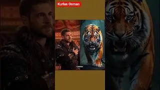 kurlus Osman season 6 ⚔️ orhan with Tiger 🐯#trendingshorts✨ #viralshorts #season6