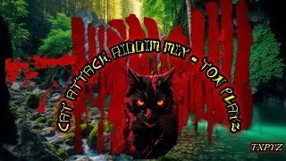 CAT ATTACK RIDDIM FULL MIX - TON PLAYZ [VINCY SOCA 2024]