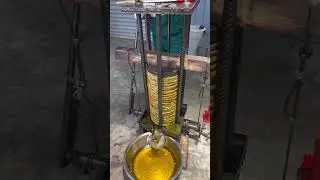 Sunflower oil extraction