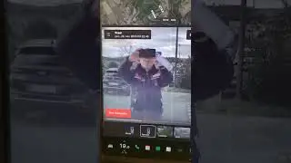 Tesla X sentry mode - caught