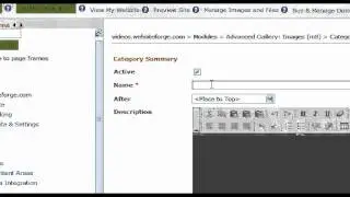 Advanced Gallery Create Category Tree - Websiteforge Ecommerce Website
