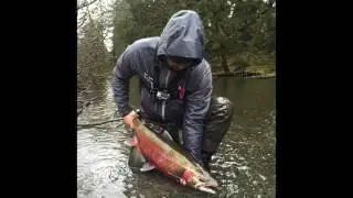 Situk River 2016
