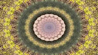 Hypnosis for Life Healing Sleep ~ Manifesting Health & Cleansing Chakras