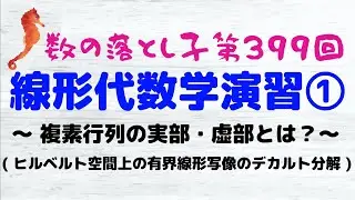 線形代数学演習① ～ 複素行列の実部・虚部とは？ ～ ( ヒルベルト空間上の有界線形写像のデカルト分解 )