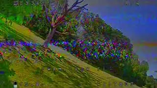 Armattan Chameleon Ti 5 practice session