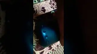 best quality speaker coco C7