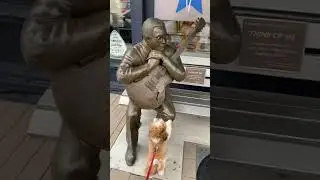 Statue MASHUP! #compilation #funny #shihtzu #dog #art #travel #tourism #cute #shorts #walk #aww #yt