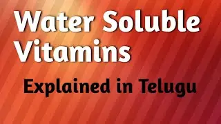 Water Soluble Vitamins- Vitamin-B, Biotin, Pantothenic acid, vitamin-c@anshuslibrary3417